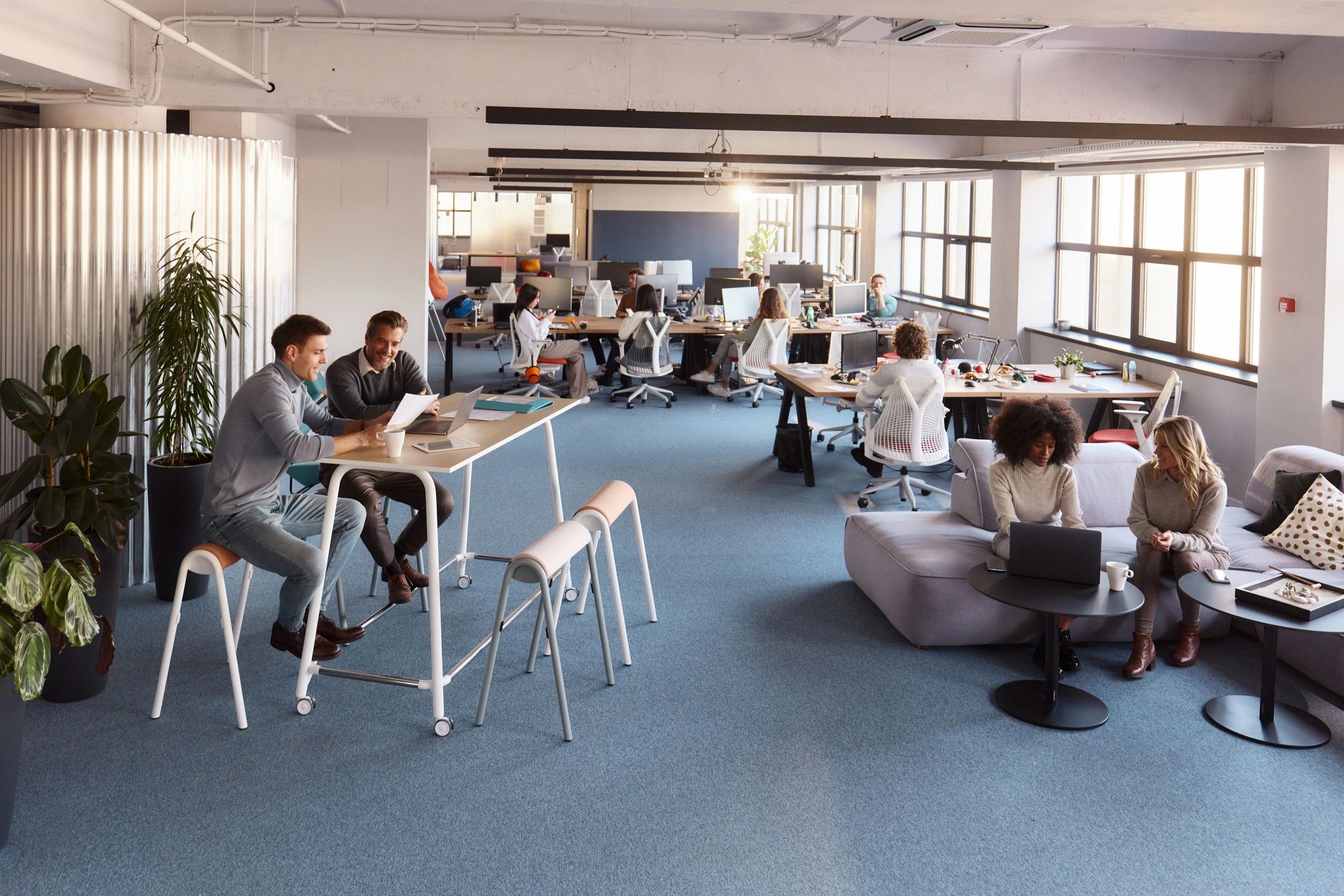 solar energy professionals modern office
